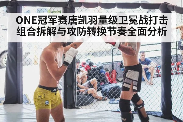 mma fighter striking combination